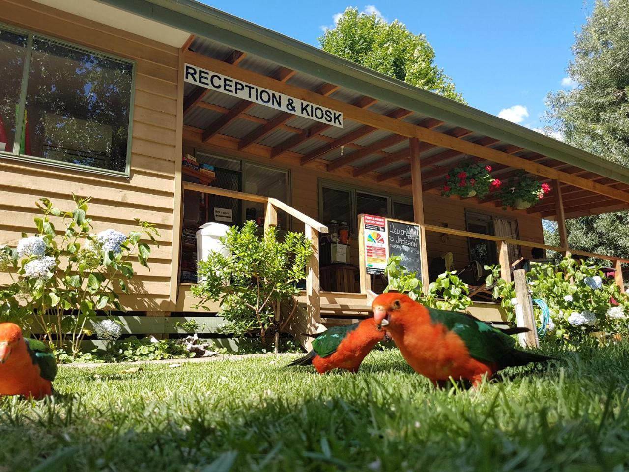 Jamieson Caravan Park ภายนอก รูปภาพ